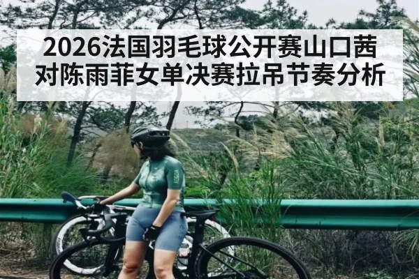 2026法国羽毛球公开赛山口茜对陈雨菲女单决赛拉吊节奏分析